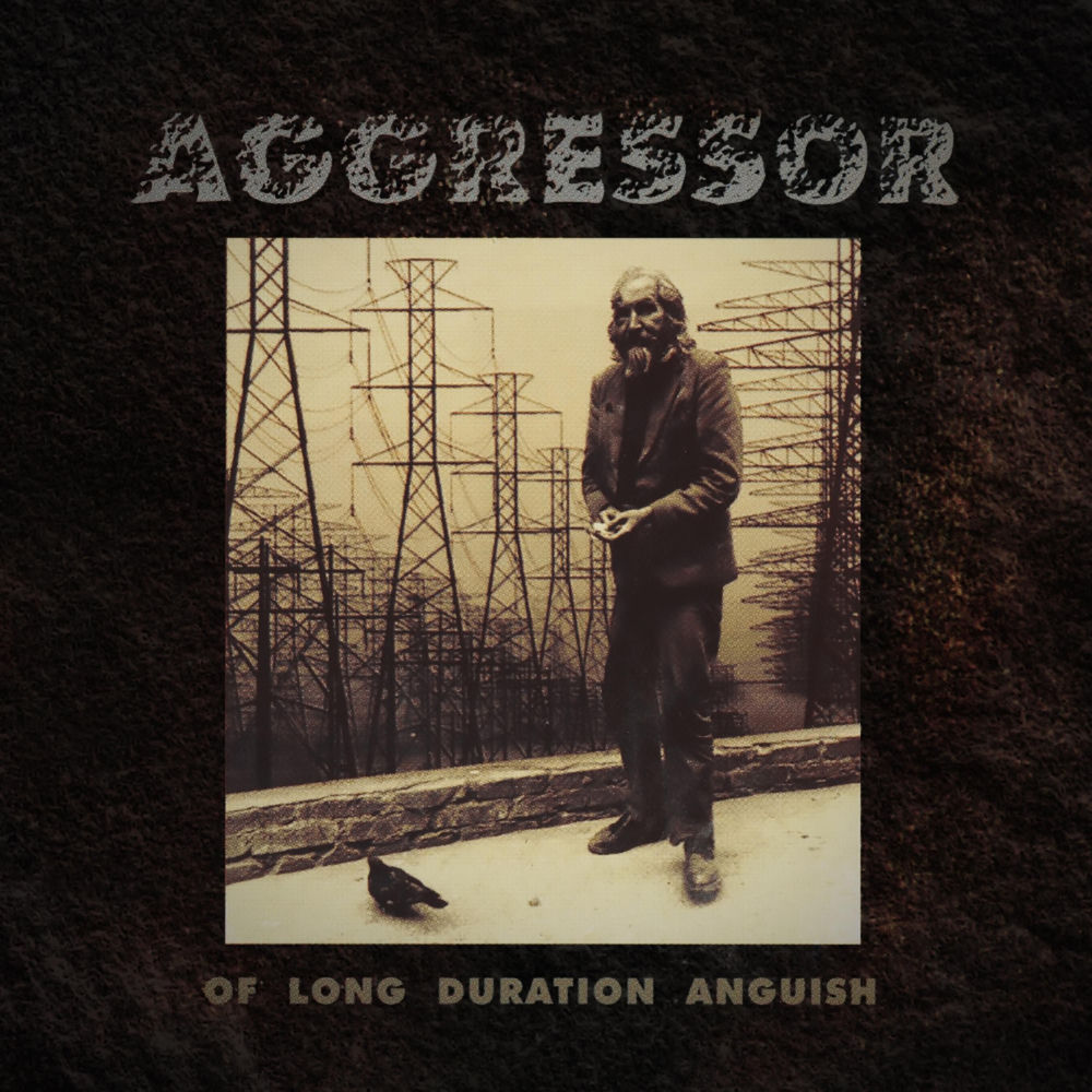 Aggressor