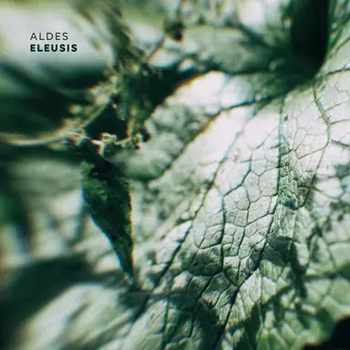 ALDES