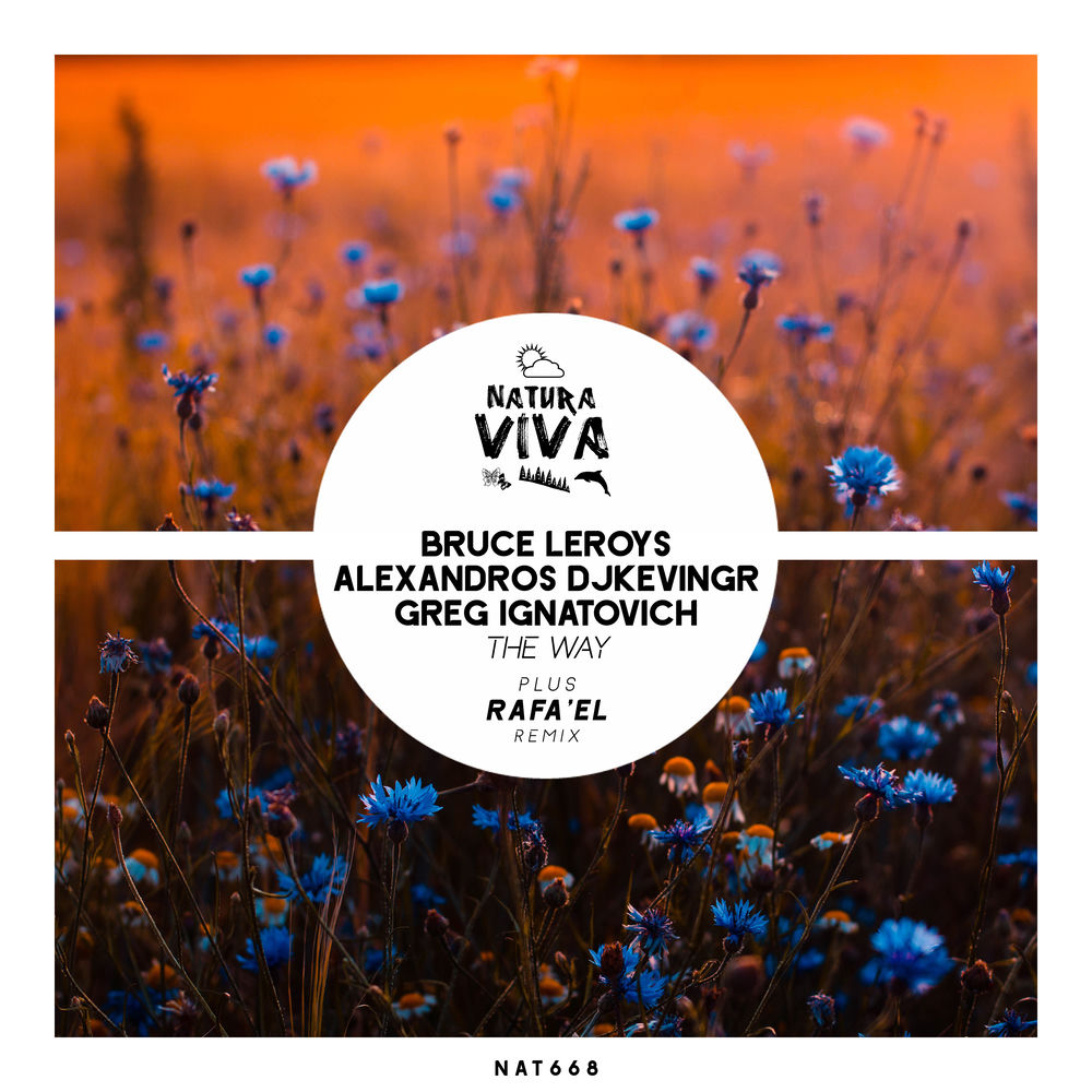 Alexandros Djkevingr