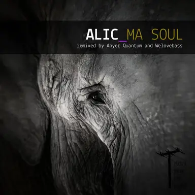 Alic