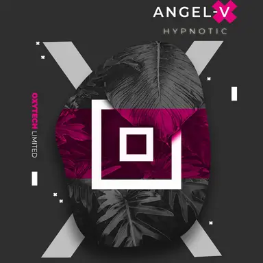 ANGEL-V