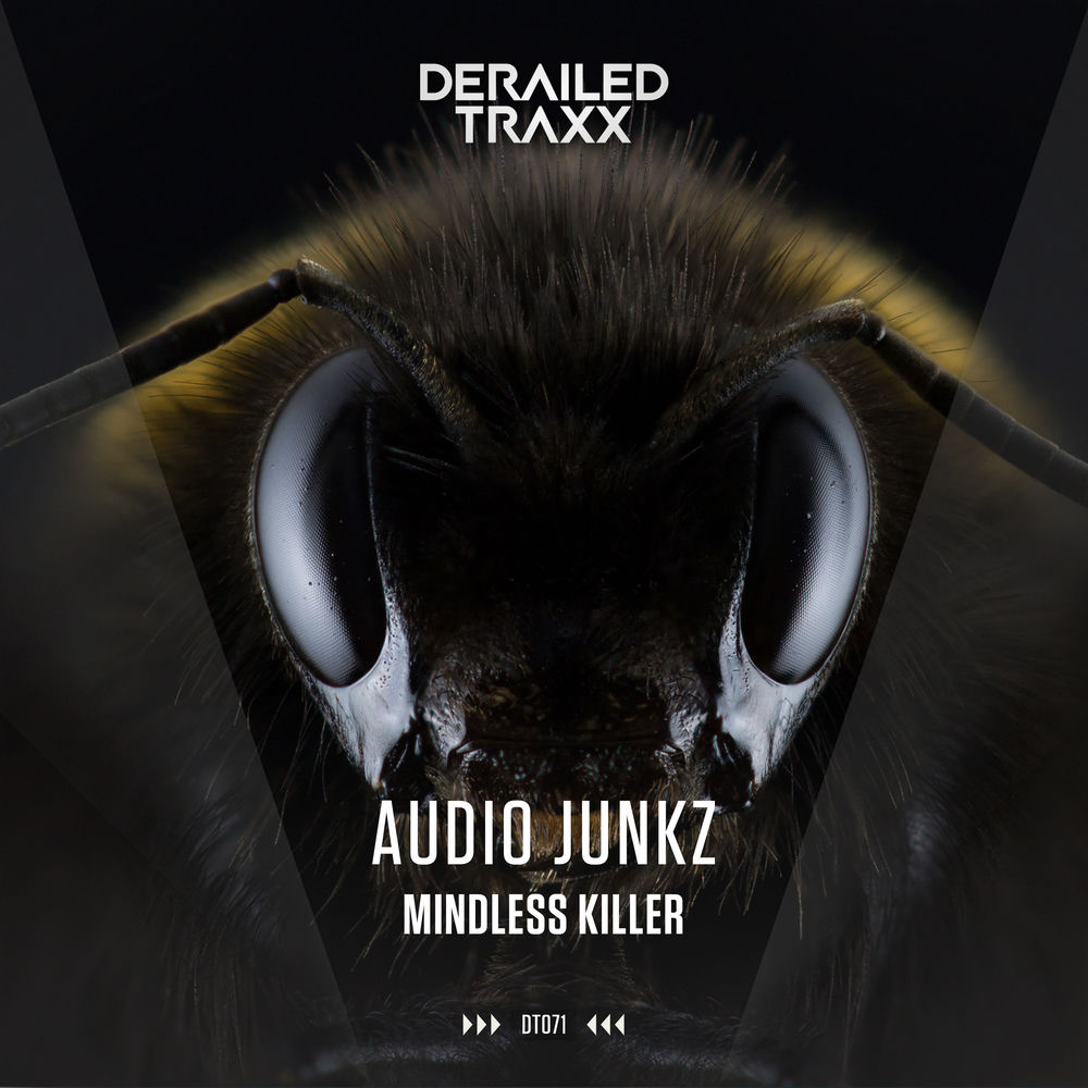 Audio Junkz