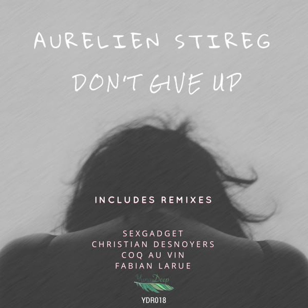 Aurelien Stireg