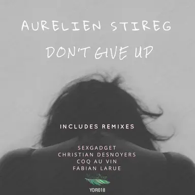 Aurelien Stireg