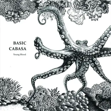 Cabasa