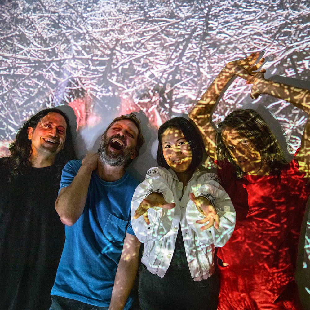 Deerhoof