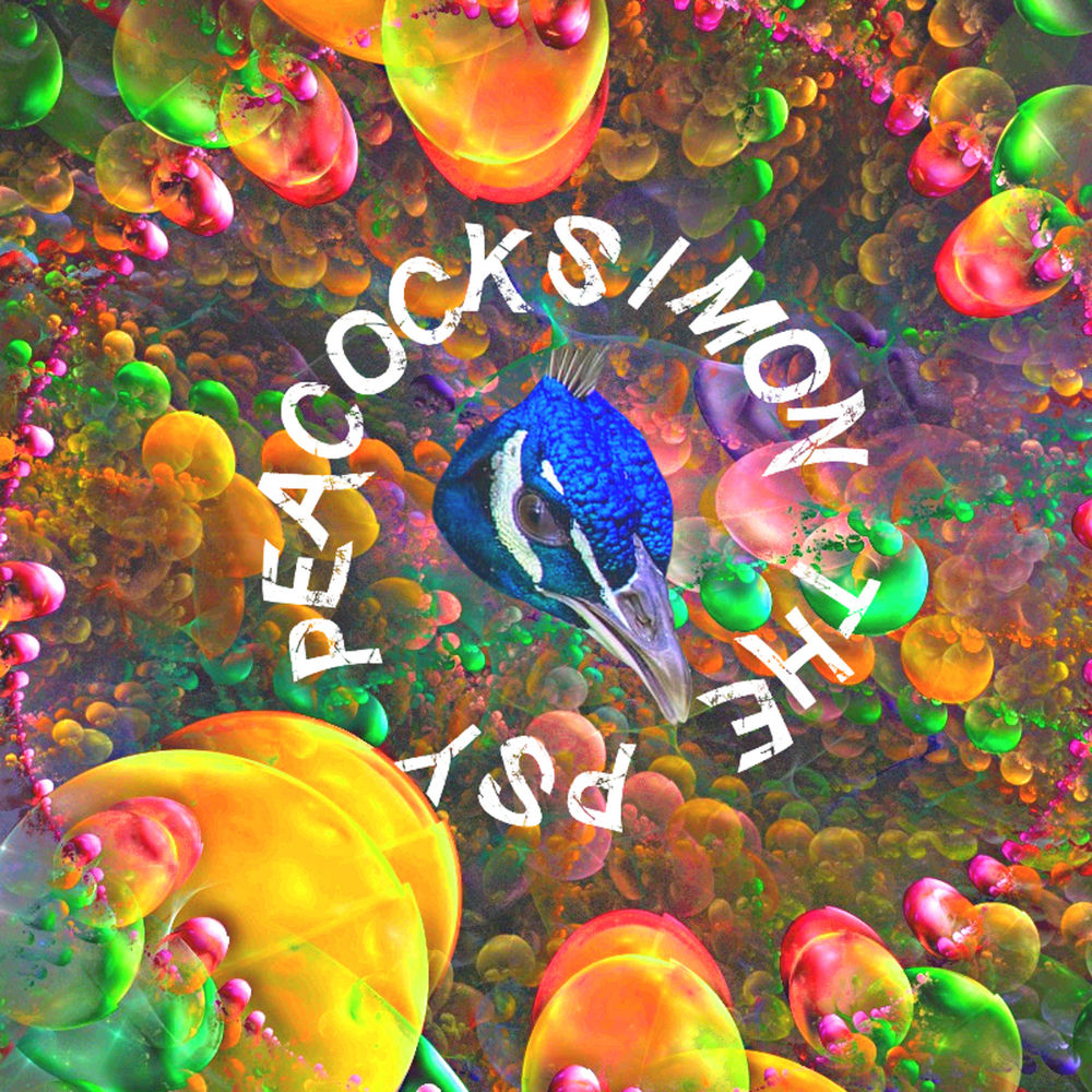 Dokounta