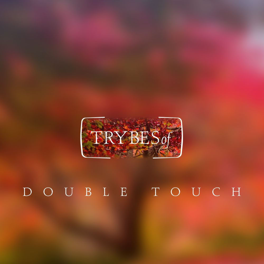 Double Touch