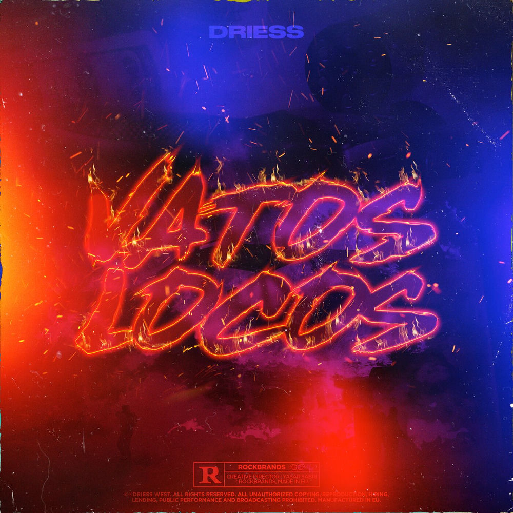 Driess