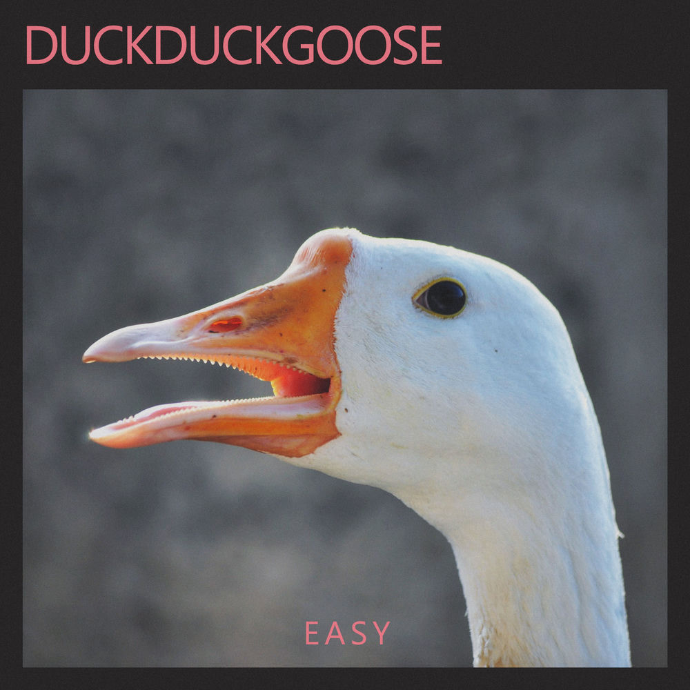 DuckDuckGoose