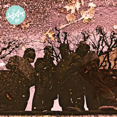 DXA