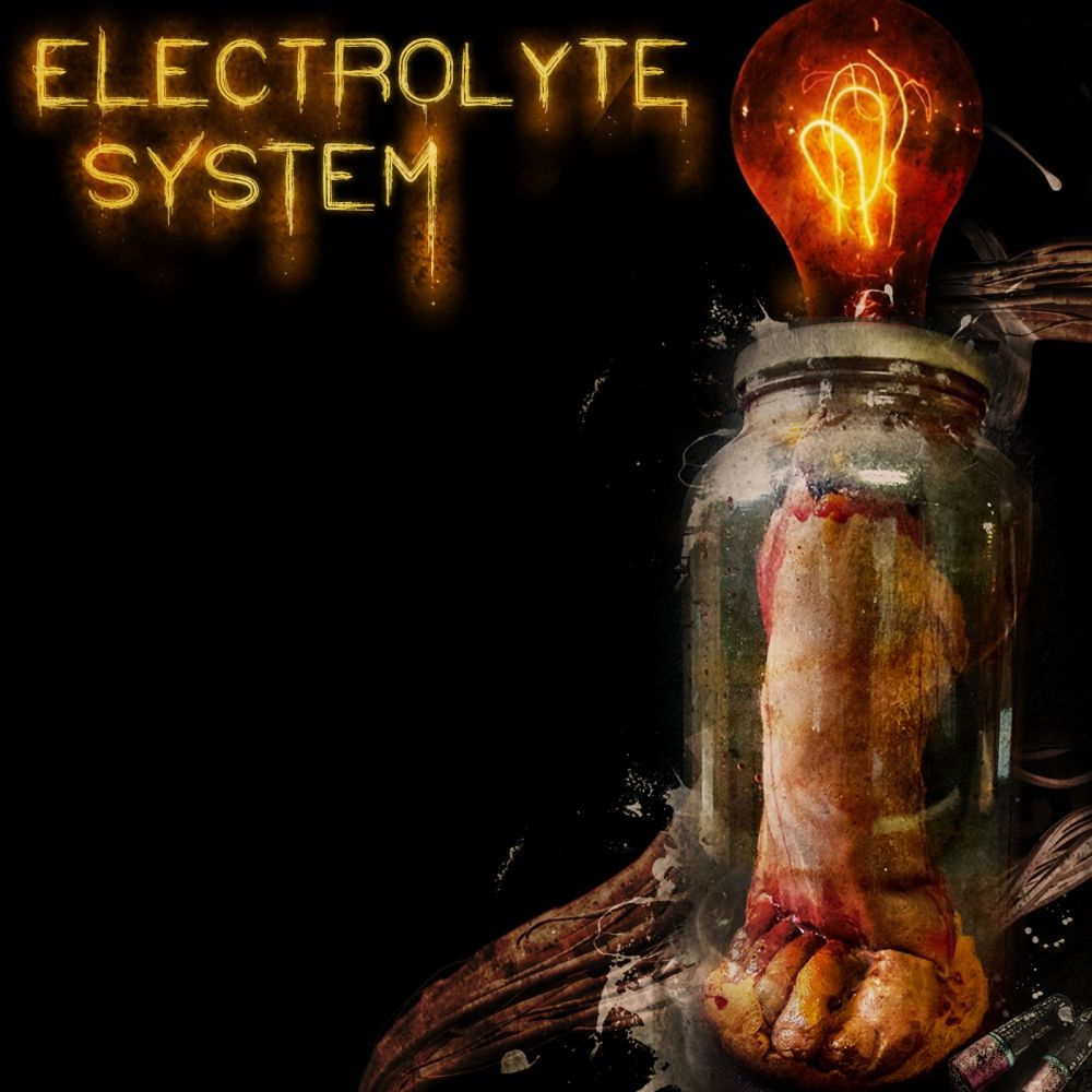 Electrolyte System