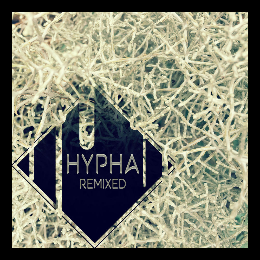 Hypha
