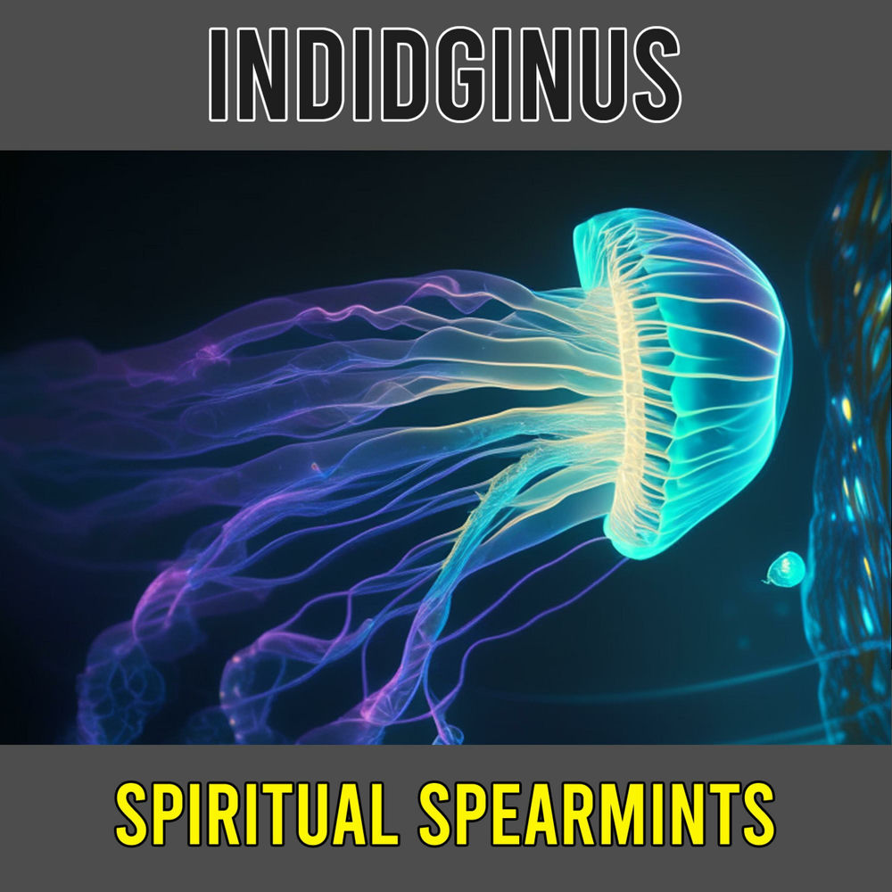 Indidginus