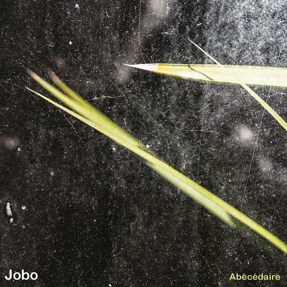 Jobo