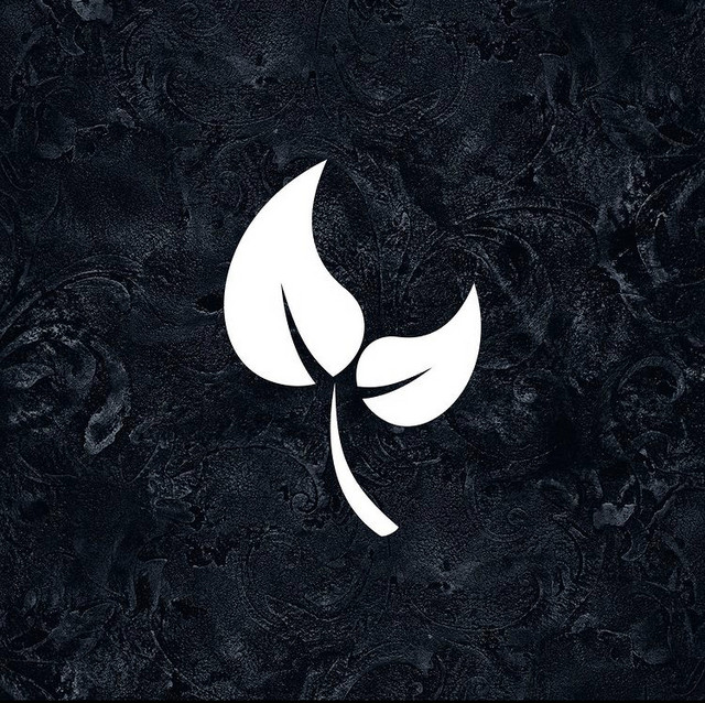 Kamerplant