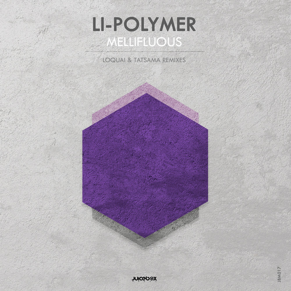 Li-Polymer