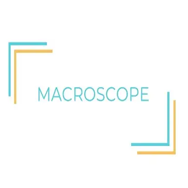 Macroscope