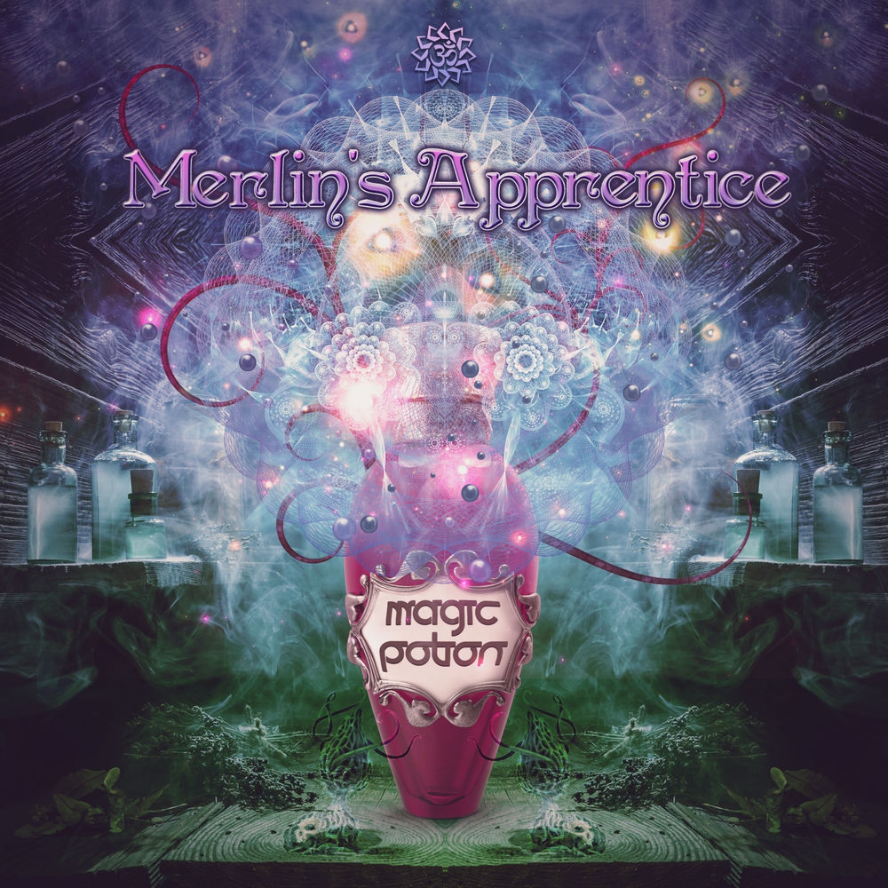 Merlin's Apprentice