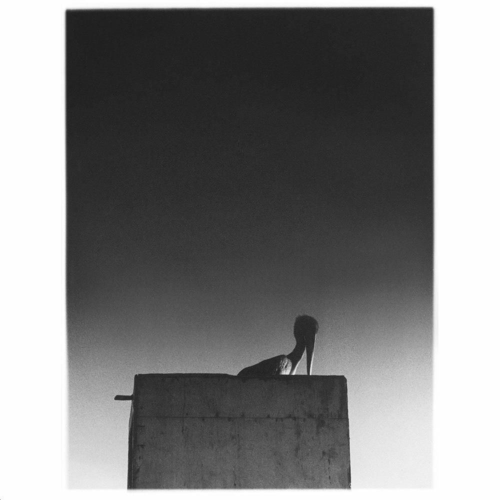 Mika Vainio