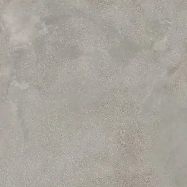 Mikmoog