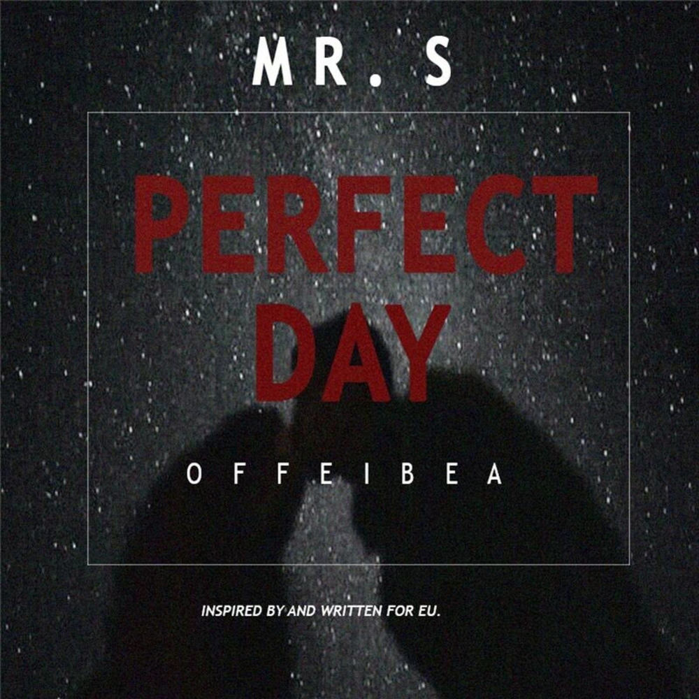 Mr S