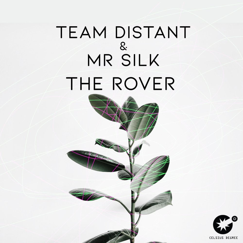 Mr Silk