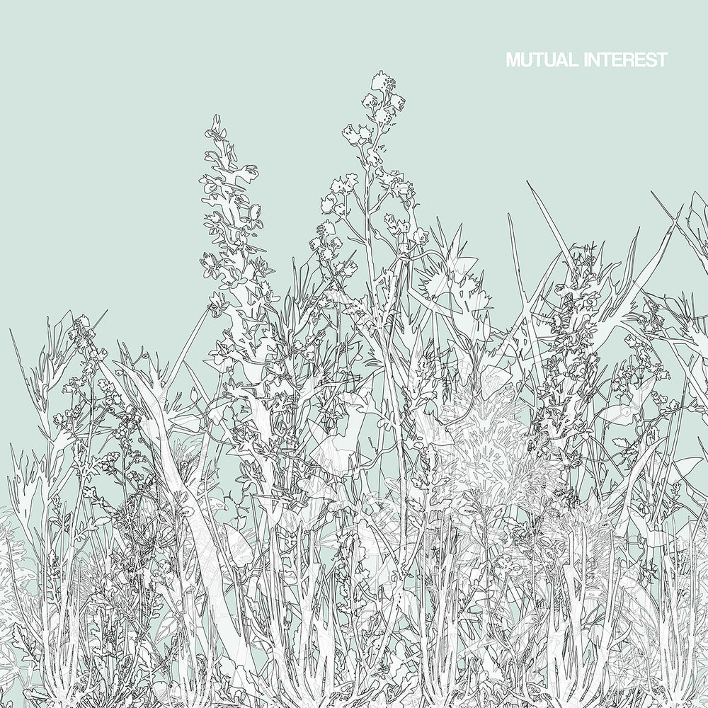 Mutual-Interest
