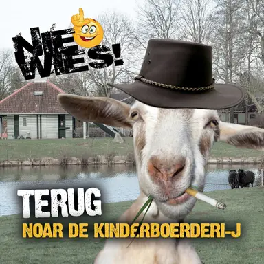 Nie Wies
