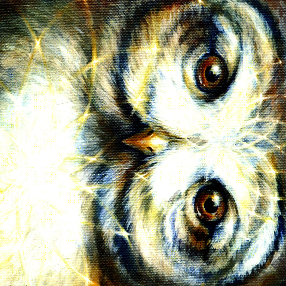 Nixie