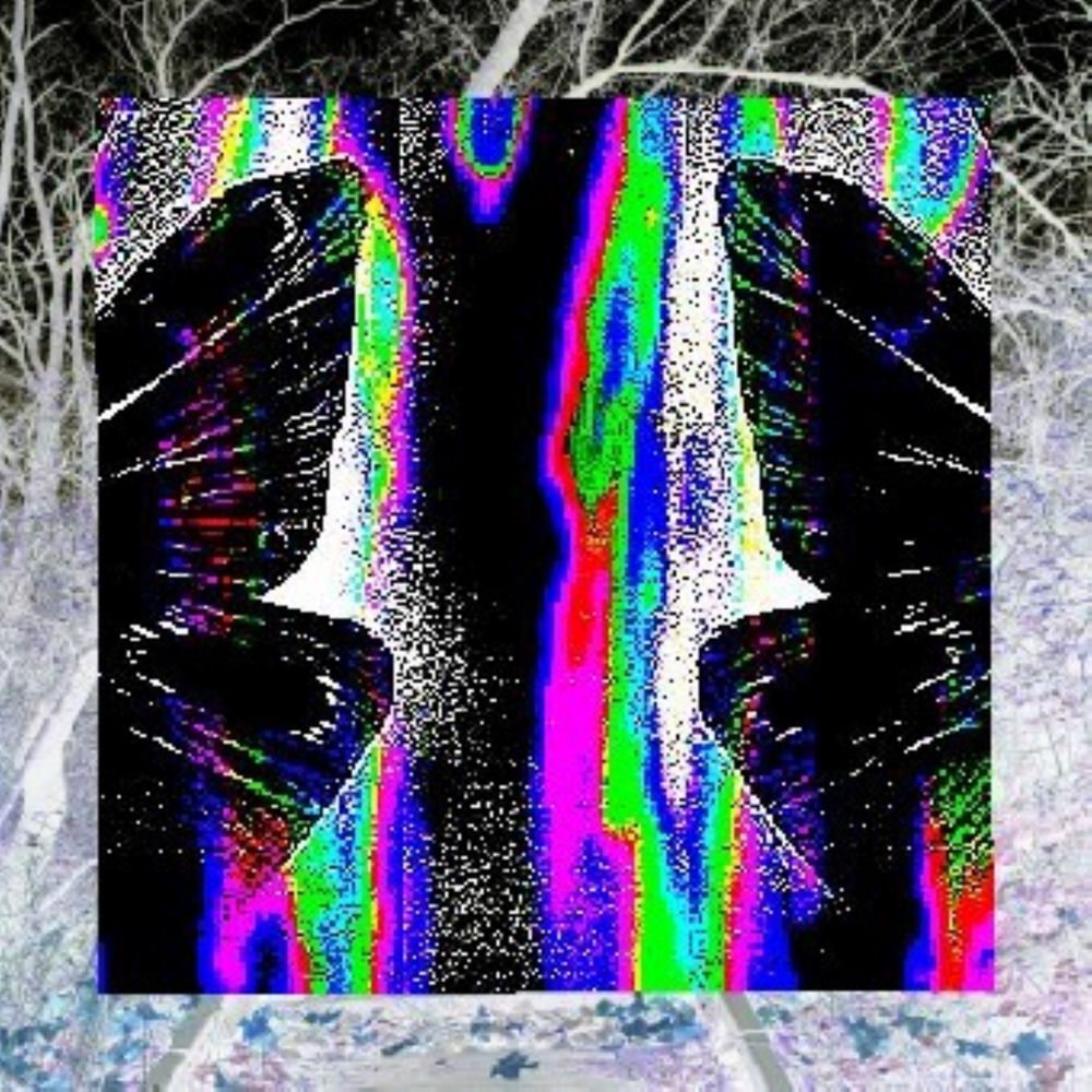 Nixus