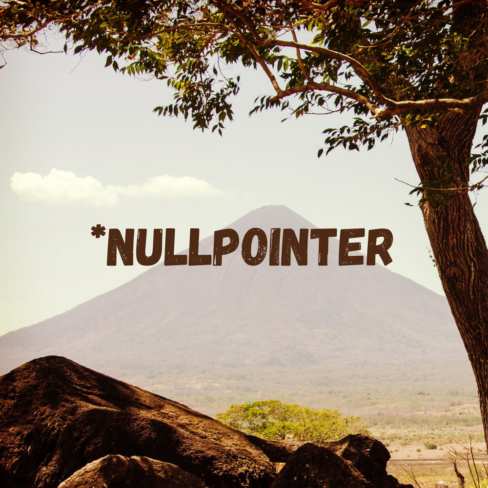 Nullpointer