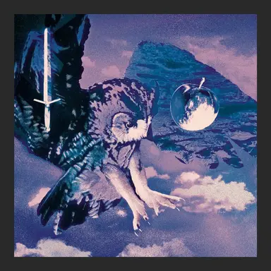 Palmbomen