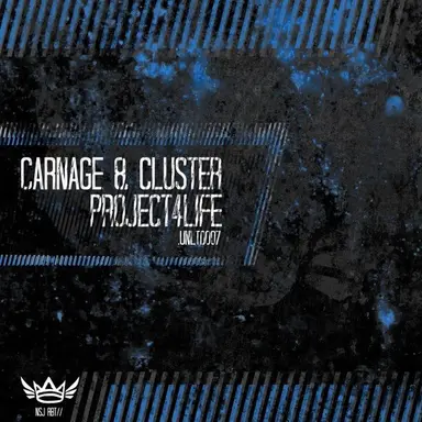 Project4Life