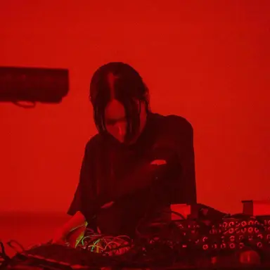 Puce Mary