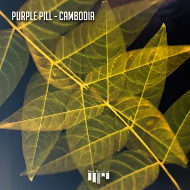 Purple Pill