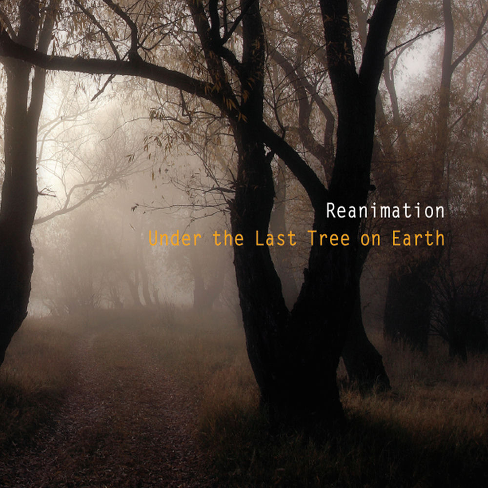 Reanimation