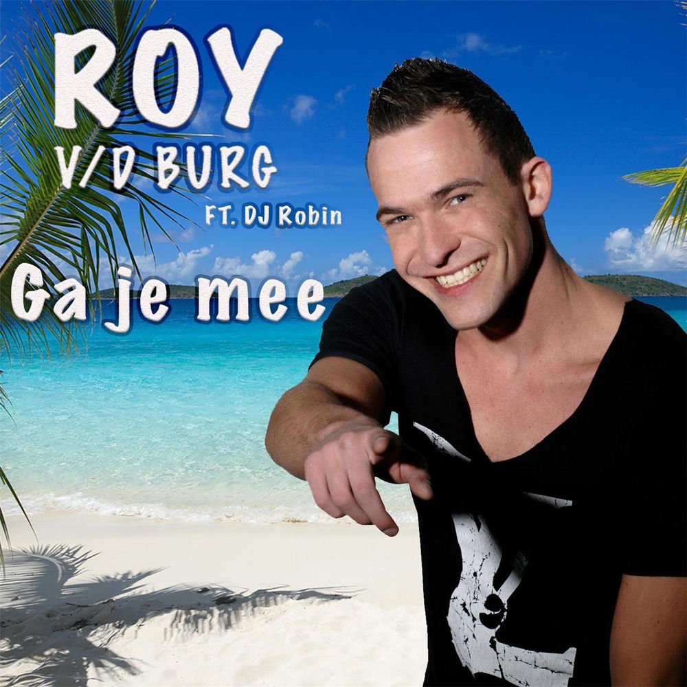 Roy van den Burg