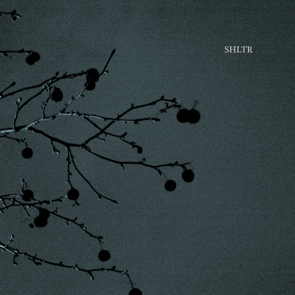 SHLTR