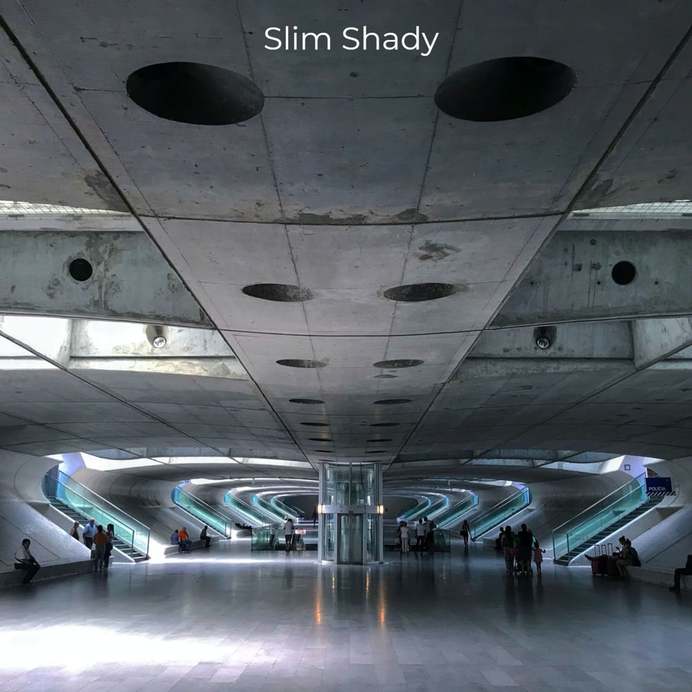 Slim Shady