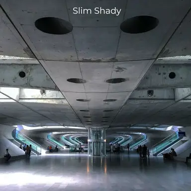 Slim Shady