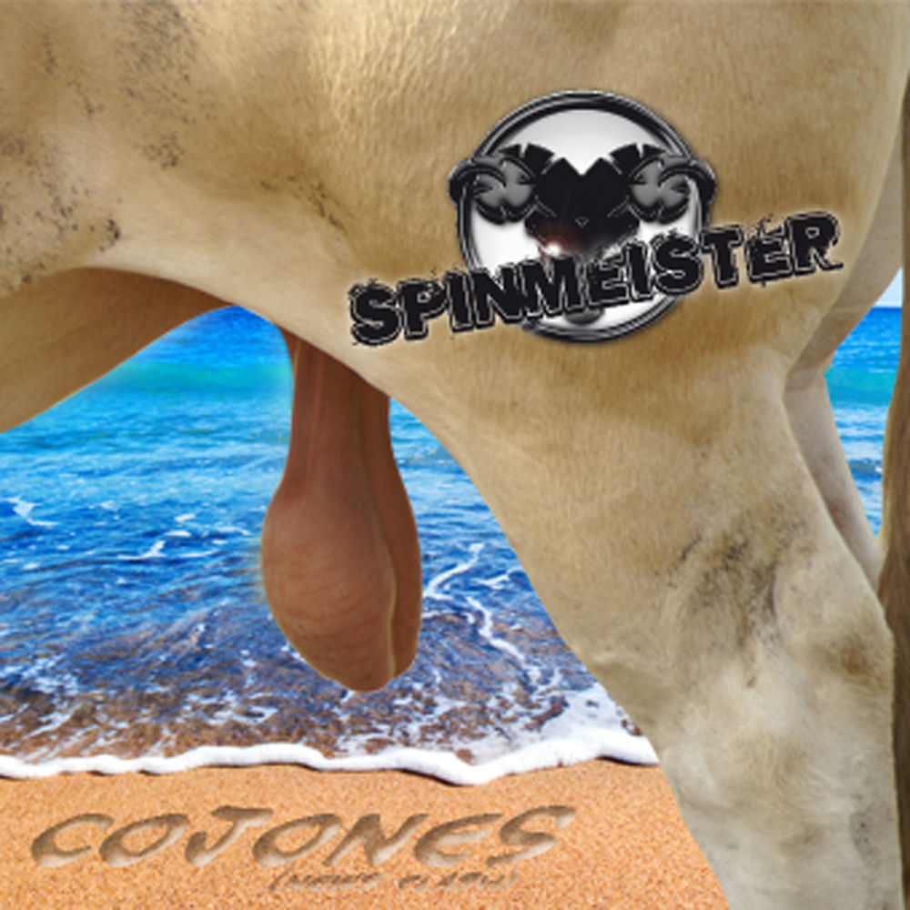Spinmeister