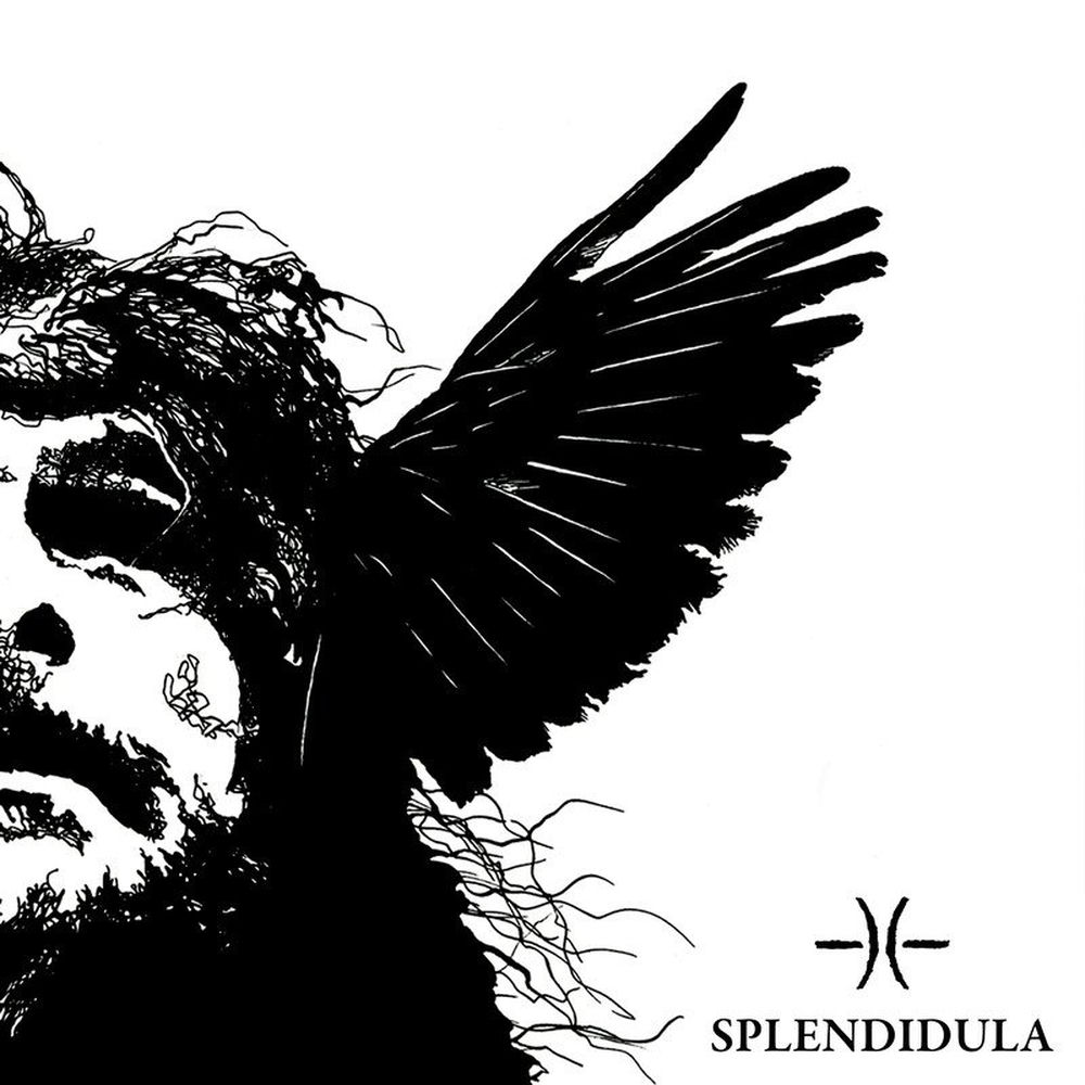 Splendidula