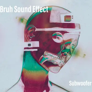 Subwoofer