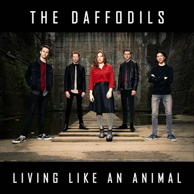 The Daffodils