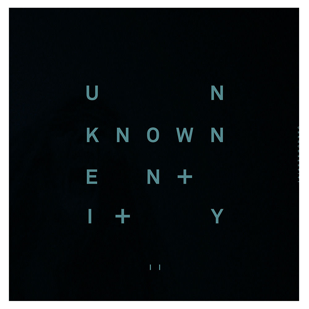 Unknown Entity