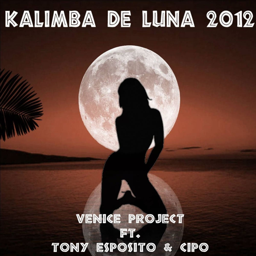 Venice Project