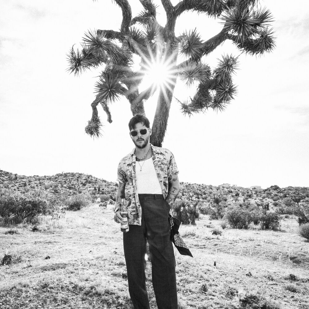 Wavves