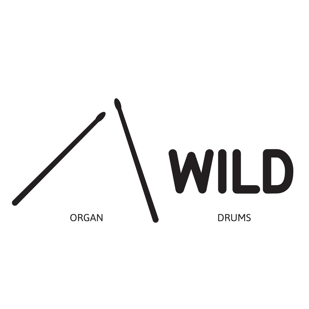 Wild Organ & Drums