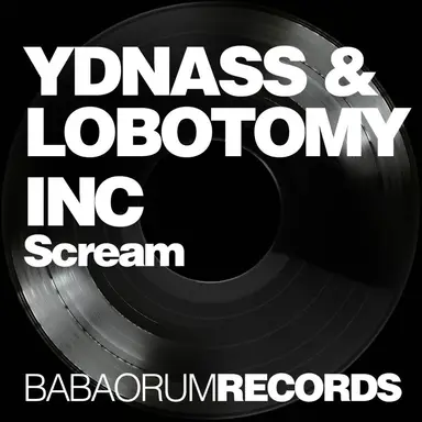 Ydnass